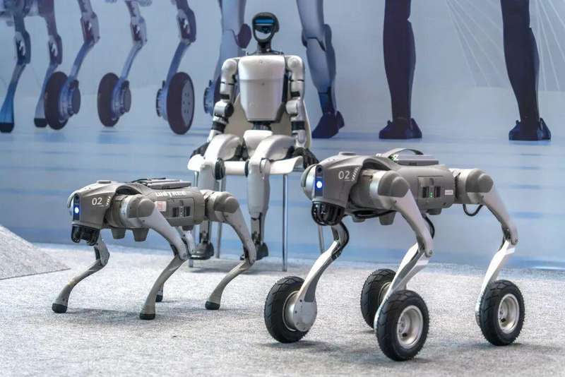  2026年机器人产业风向：从宇树科技IPO看具身智能的商业闭环 IT技术
