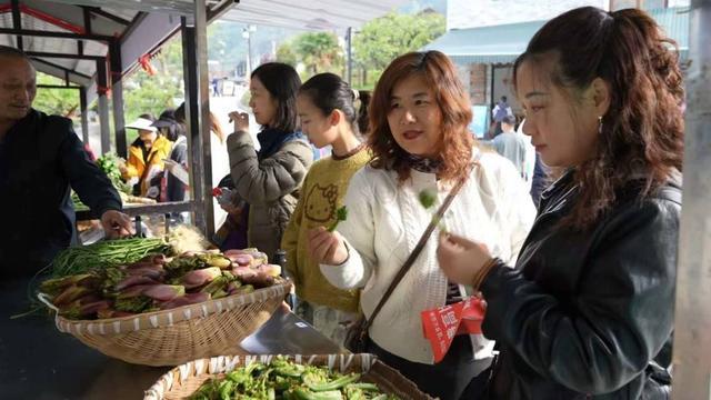  北川“春日经济”数据拆解：农文旅体商融合的底层逻辑与实战方法 文化旅游