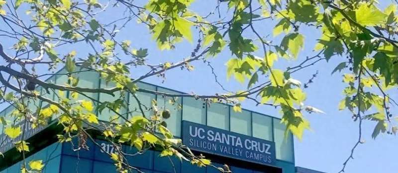  从“一眼识破”到“血本无归”：深度拆解美国年轻人电诈困局的系统级根源 IT技术