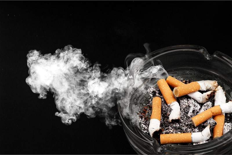  心梗风险深度拆解：心血管内科十二年急诊实录与六大高危行为量化分析 健康养生