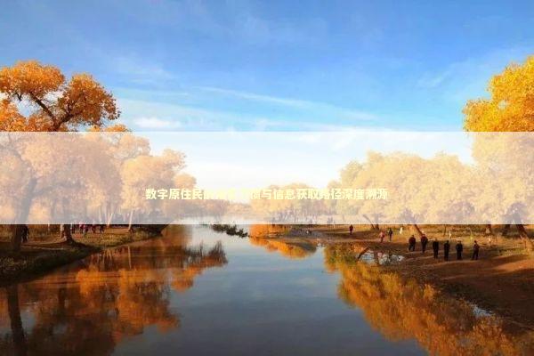 数字原住民的搜索习惯与信息获取路径深度溯源