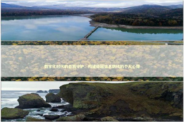 数字化时代的自我守护:构建稳固信息防线的个人心得 数字化时代的自我守护:构建稳固信息防线的个人心得 IT技术