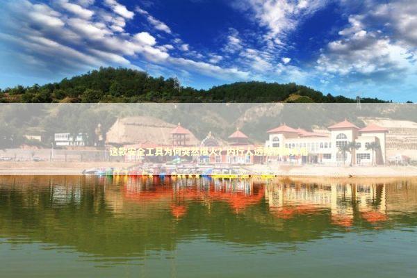 这款安全工具为何突然爆火？内行人透露获取真相 IT技术