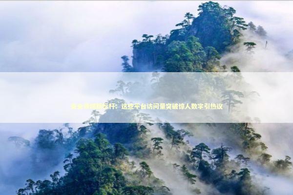 安全领域新标杆：这些平台访问量突破惊人数字引热议 IT技术