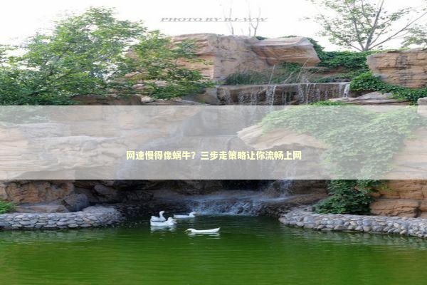 网速慢得像蜗牛？三步走策略让你流畅上网