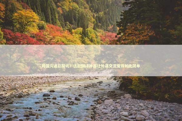 跨国沟通总踩坑？这款翻译神器让外语交流变得如此简单 IT技术