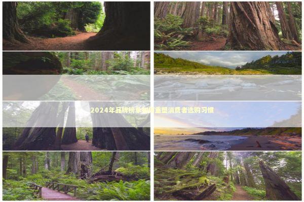 2024年品牌榜单如何重塑消费者选购习惯 新闻