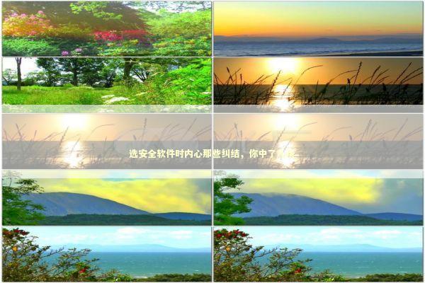 选安全软件时内心那些纠结，你中了几条 IT技术